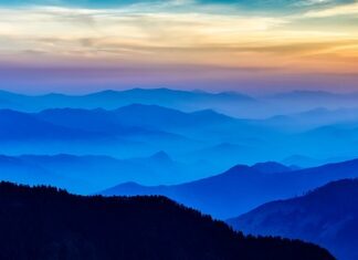 Jak przekonać do pracy zdalnej?