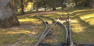 Co to jest medium referral?