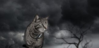 Jakie są najczęściej popełniane błędy podczas realizacji projektów?