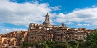 Jakie są obszary rozwoju zawodowego?