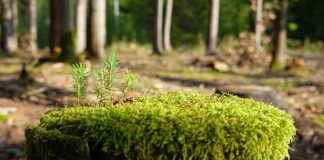 Jak zregenerować się psychicznie?