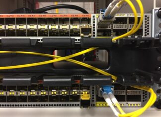 Czy w technikum są podstawy przedsiębiorczości?