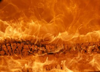 Czy marka ma znaczenie dla klientów?