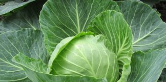 Z jakiego powodu Szukasz nowej pracy?