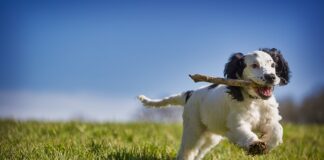 Jak odzyskać siły psychiczne?