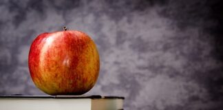 W której klasie będzie HiT?