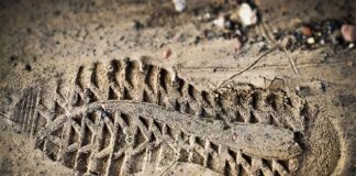 Czy oceny świadczą o poziomie inteligencji?