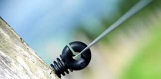 Ile Polaków pracuje w NASA?