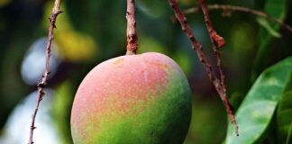 Co to znaczy być dojrzałym emocjonalnie?