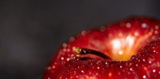 Jakie korzyści zyskuje firma dzięki pozytywnemu wizerunkowi?