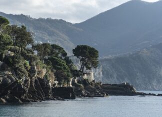 Ile kosztuje wyprodukowanie bluzy w szwalni?