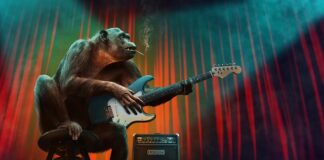 Jakie są etapy kariery zawodowej?