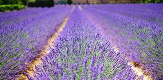 Jak poznać prawdziwego siebie?