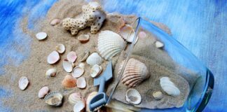 Ile razy w tygodniu jest hit?