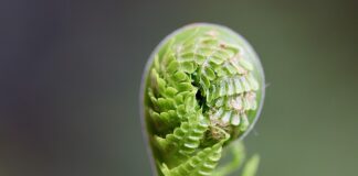 W jaki sposób można rozwijać inteligencję?