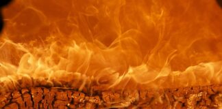 Jak zbudować silną markę?