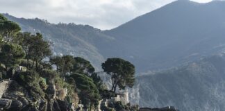 Ile kosztuje wykopanie 1 bitcoina w Polsce?