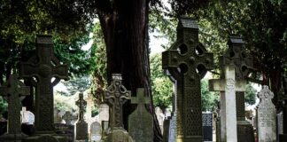 Co ma być zamiast wosu?