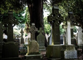 Co ma być zamiast wosu?