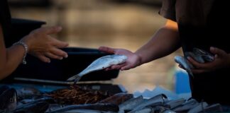 Czy można sprzedawać na blogu?