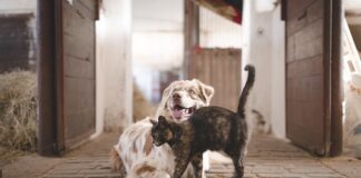 Jak stać się stabilnym emocjonalnie?