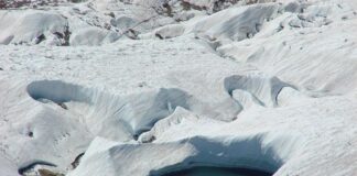 Jakie kryteria uwzględnia się przy tworzeniu ścieżki kariery zawodowej?