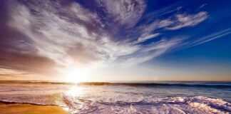 Jak picie piwa wpływa na mózg?