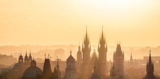 Jakie są twoje cele zawodowe?