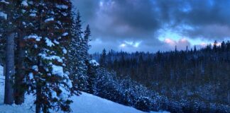 Co można robić po licencjacie z biologii?