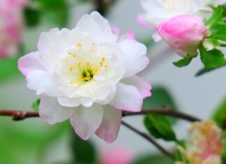 Ile jest rodzajów inteligencji?