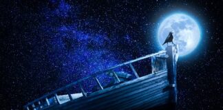 W której klasie są podstawy przedsiębiorczości?