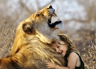 Jak nauczyć się regulować swoje emocje?