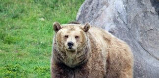 Po czym poznać że chce się spotkać?