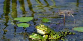 Jak stworzyć siebie na nowo?