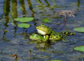 Jak stworzyć siebie na nowo?
