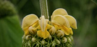 Co to jest brand book?