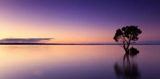 Jak inaczej nazwać spokój?