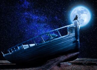 Kiedy dochodzą Podstawy przedsiębiorczości?