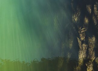 Jaki jest przeciętny poziom IQ?